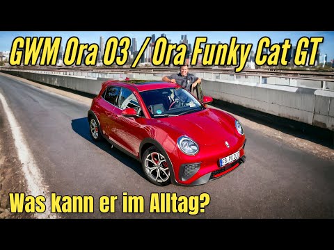 GWM Ora 03 / ORA Funky Cat GT: Lädt langsam, spricht viel. China-Elektroauto im Alltags-Test